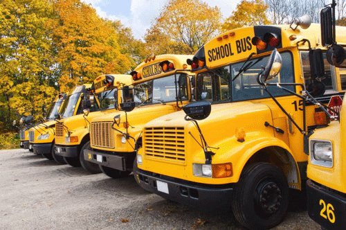 Driver’s Licences Commercial Vehicles