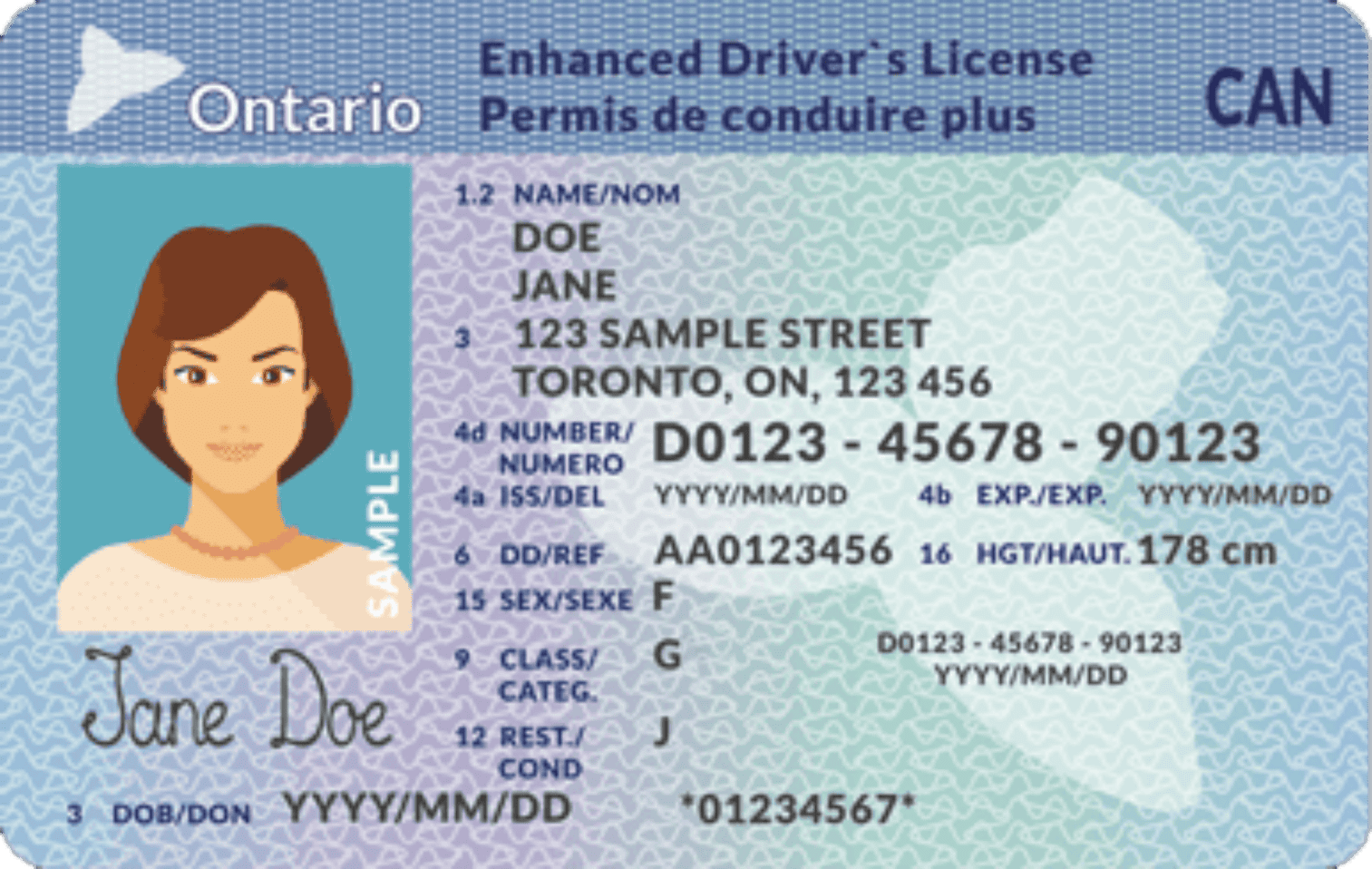 G License