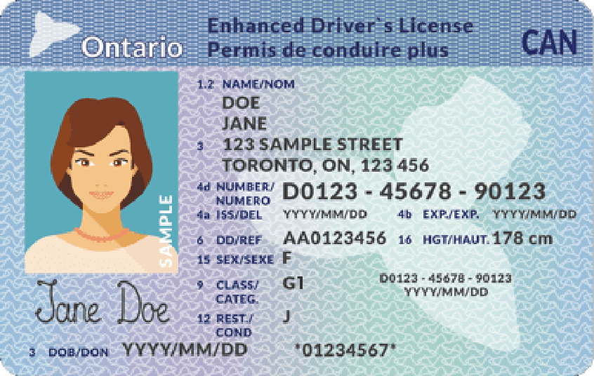 G1 License G1